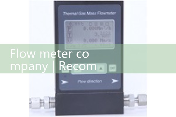 Flow meter company